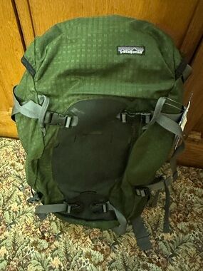 Patagonia Green Men's Gritty Pack NWT, Great pack at a great price
